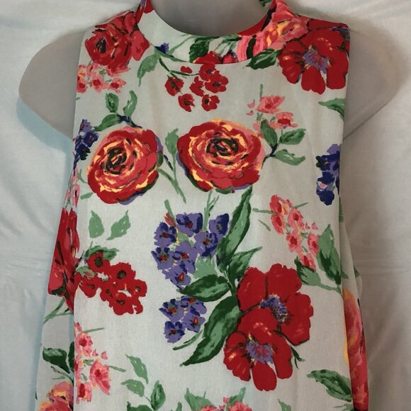 Everly Dresses & Skirts - EVERLY ANTHROPOLOGIE Sleeveless Blue Floral Midi Lined Dress Size Large